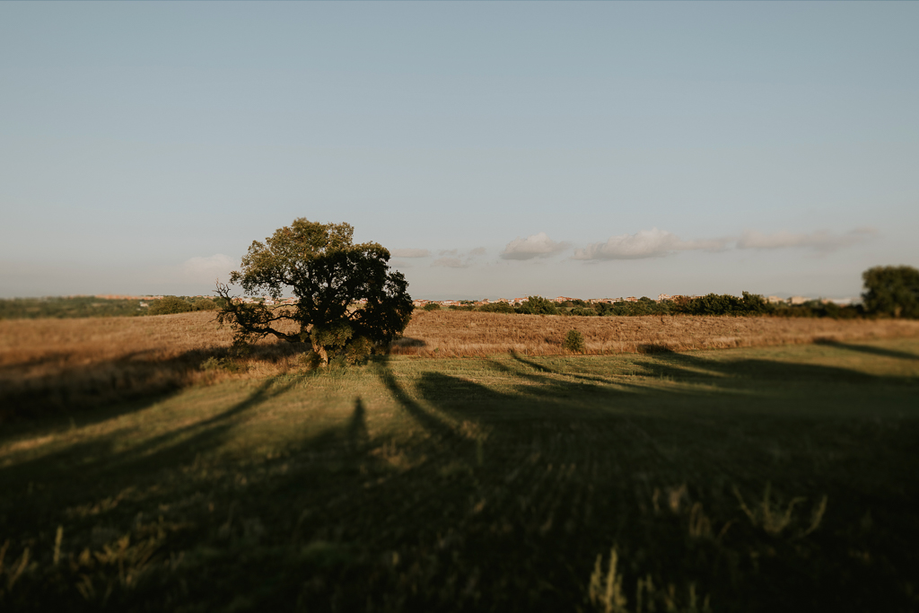 location per foto di matrimonio a roma