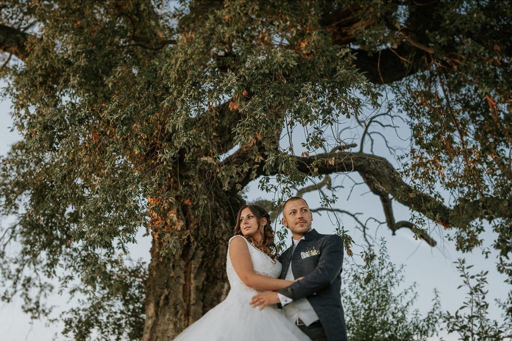 abbraccio sotto l'albero degli sposi di matrimonio a roma