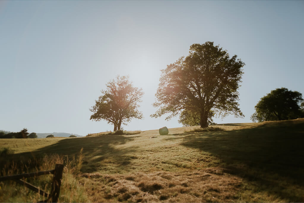 Servizio Fotografico al Tramonto